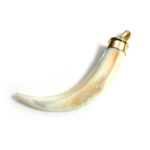 Colgante garra de nácar