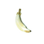 Colgante colmillo de jabalina