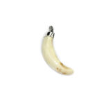 Colgante Colmillo de jabalina